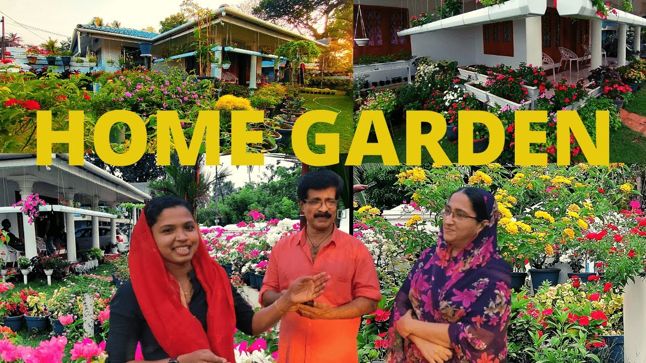 മനോഹരമായ  പൂന്തോട്ടം 🌿MY HOME GARDEN TOUR | Houseplant collection