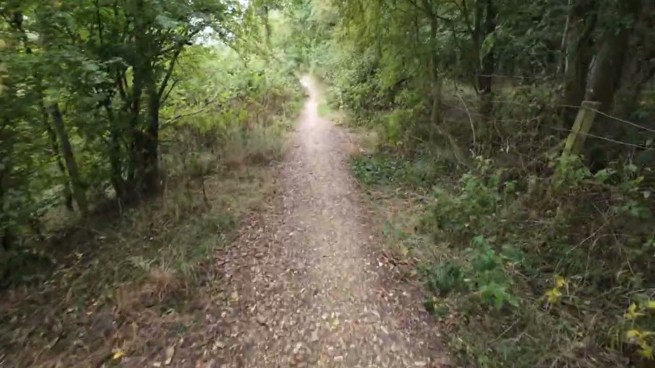 Peaceful Morning Countryside Walk - Trees, Trails and Golf Course Vibes