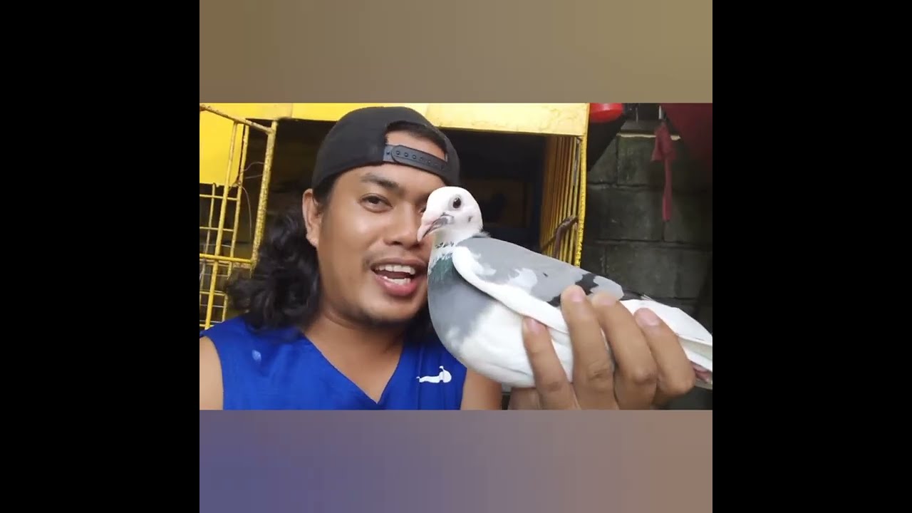 DOVEBARKADZ SOUNDTRACK BY DOVE NATION TV (PROD BY KING EF)