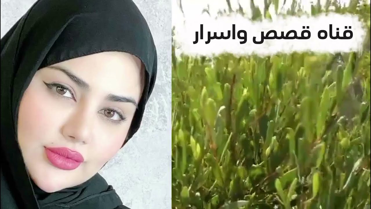 قصه وحكايه من اروع القصص الممتعه 