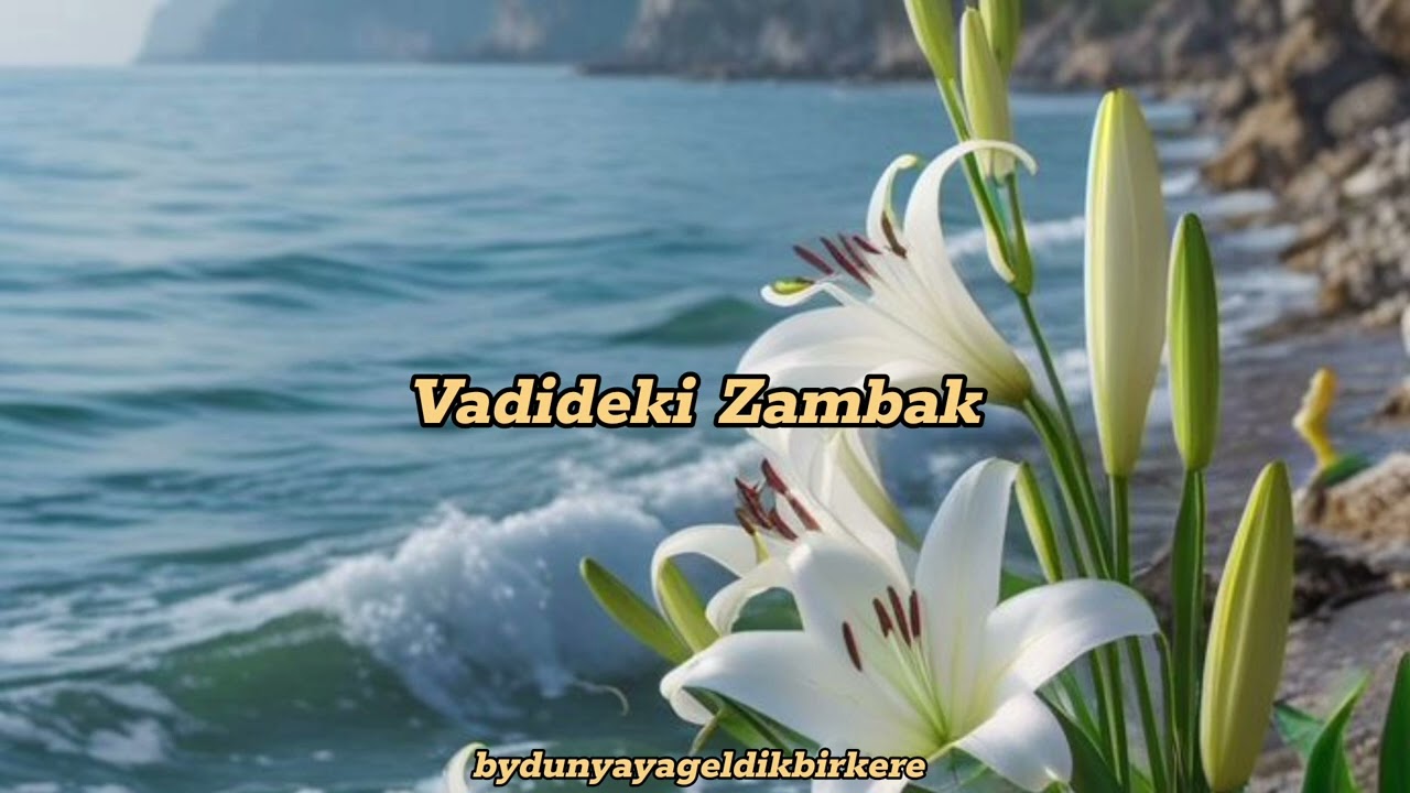 Vadideki Zambak 