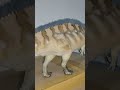 PNSO Acrocanthosaurus #shorts #dinosaur #jurassicpark #jurassicworld #prehistoric