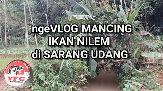pake UMPAN KELAPA MUDA || Benar-benar jitu Mancing ikan NILEM di sarang udang