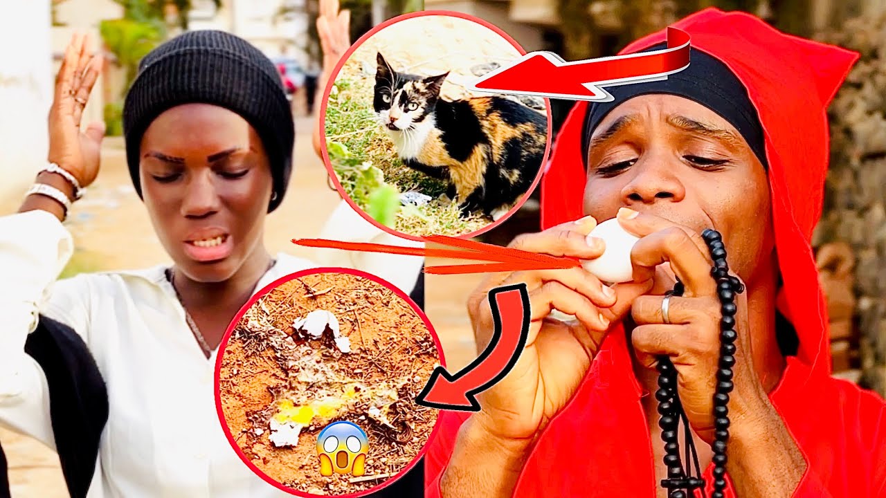 Mdr🤣Maman laye en chat 🐈 🤣🤣Thieuy bi Marabou 🤣🤣