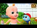 Incy Wincy Makoda, इंसी विंसी मकौड़ा, Baby Shark Song, Loo Loo Kids Hindi Nursery Rhymes