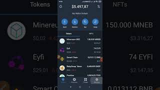 🔴Tips Manajemen Aset Wallet Crypto Trust Wallet Metamask #shortcut Cara Singkat Biar Gak Tersesat