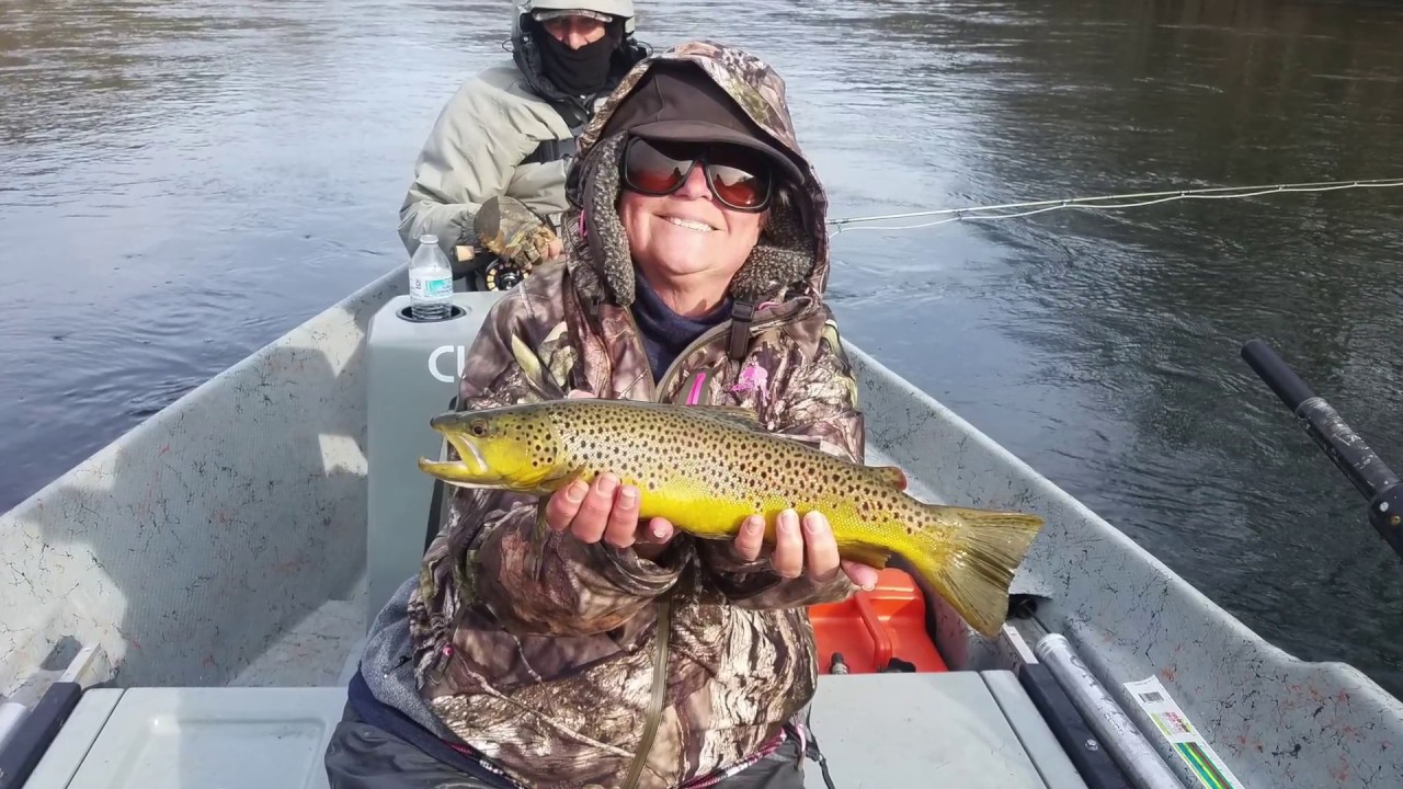 Clinch River Fly Fishing YouTube