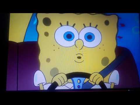 Spongebob huh (Odie huh?)