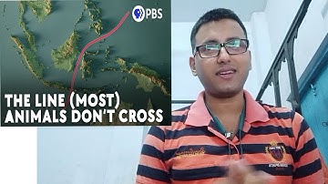 The invisible barrier keeping two worlds apart | Indian guy reaction