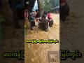 မိုးကလဲရွာနေသေး