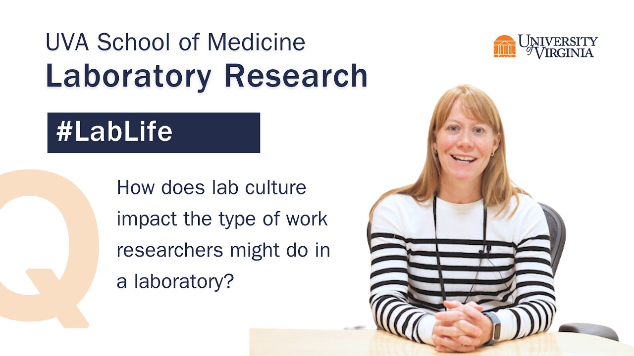 Lab Life: How does lab culture impact the type of work researchers ...