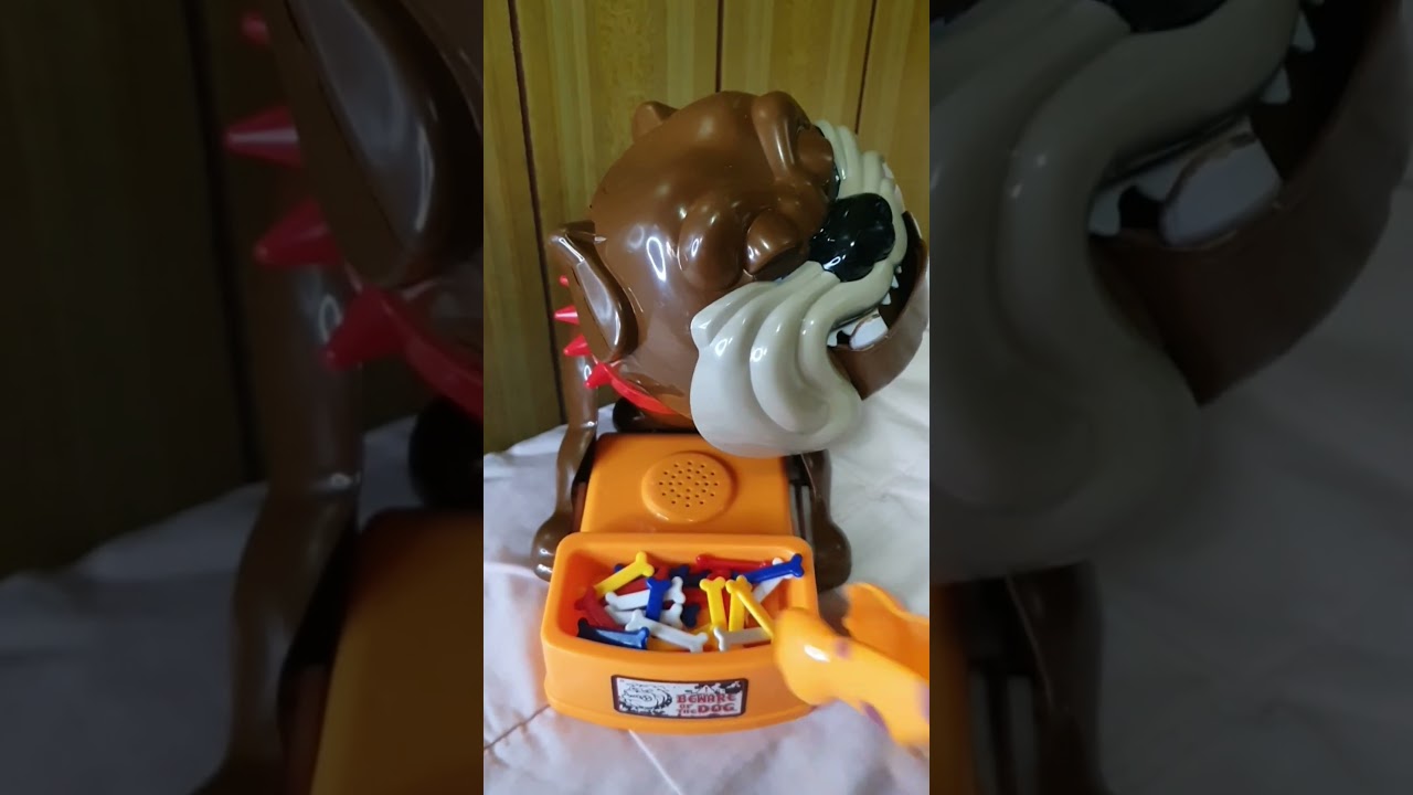 amazing angry dog 🐕 