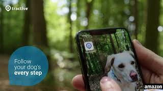 Never Lose Your Dog Again! Tractive XL GPS Tracker Review for Big Dogs (Real-Time + Health Alerts)