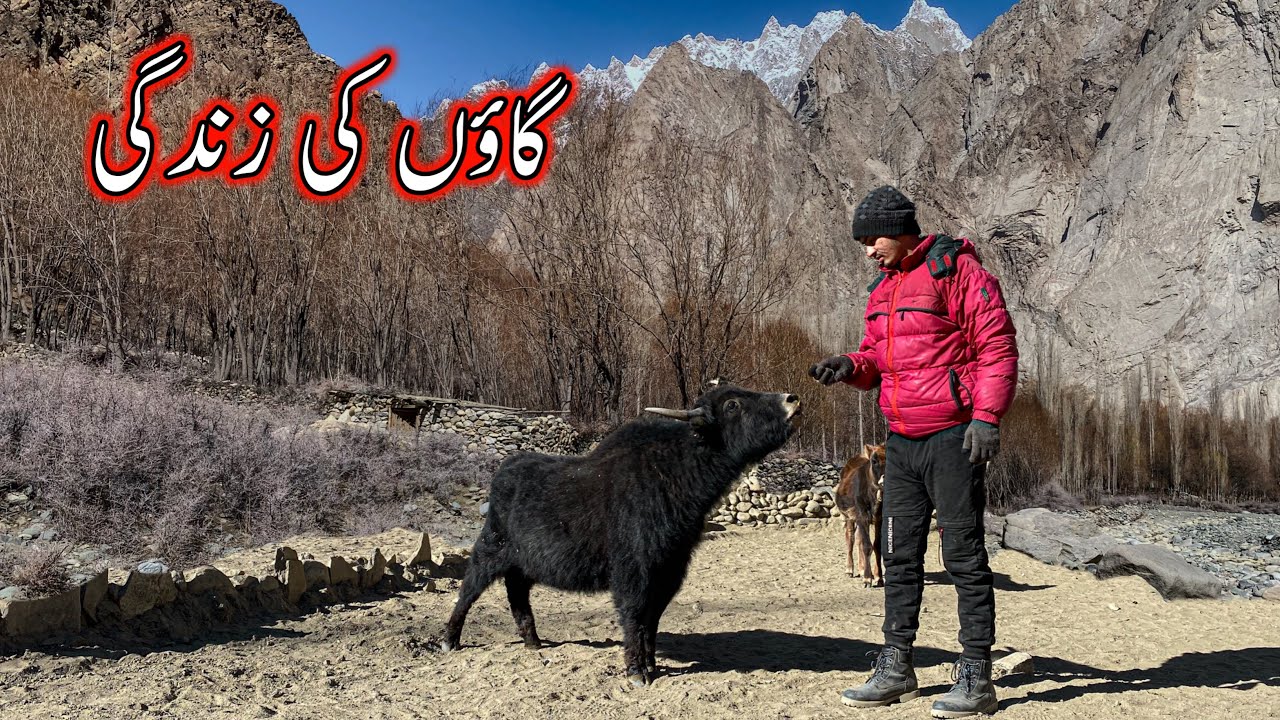 Village Life in Mountains | Near Siachen Glacier | Gilgit Baltistan ...