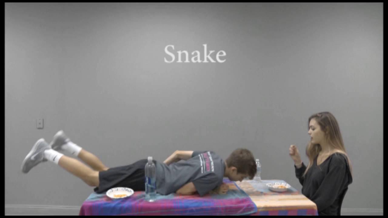 Youtube How Animals Eat Their Food Part Youtube How Animals Eat Their Food Part