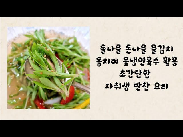 돌나물 돈나물 물김치 동치미 물냉면육수 활용 초간단한 자취생 반찬 요리 - Youtube