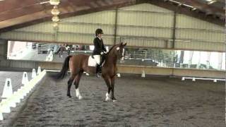 Feron at Hossmoor Second Level Test 2 rev.avi