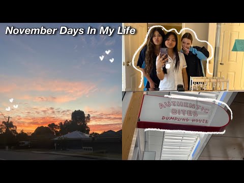 November Days In My Life 💝📷 ||2024