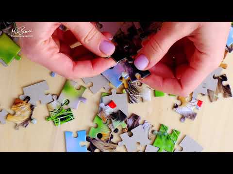 STOP looking for free photography tips! It’s a terrible way to learn - Mike Browne