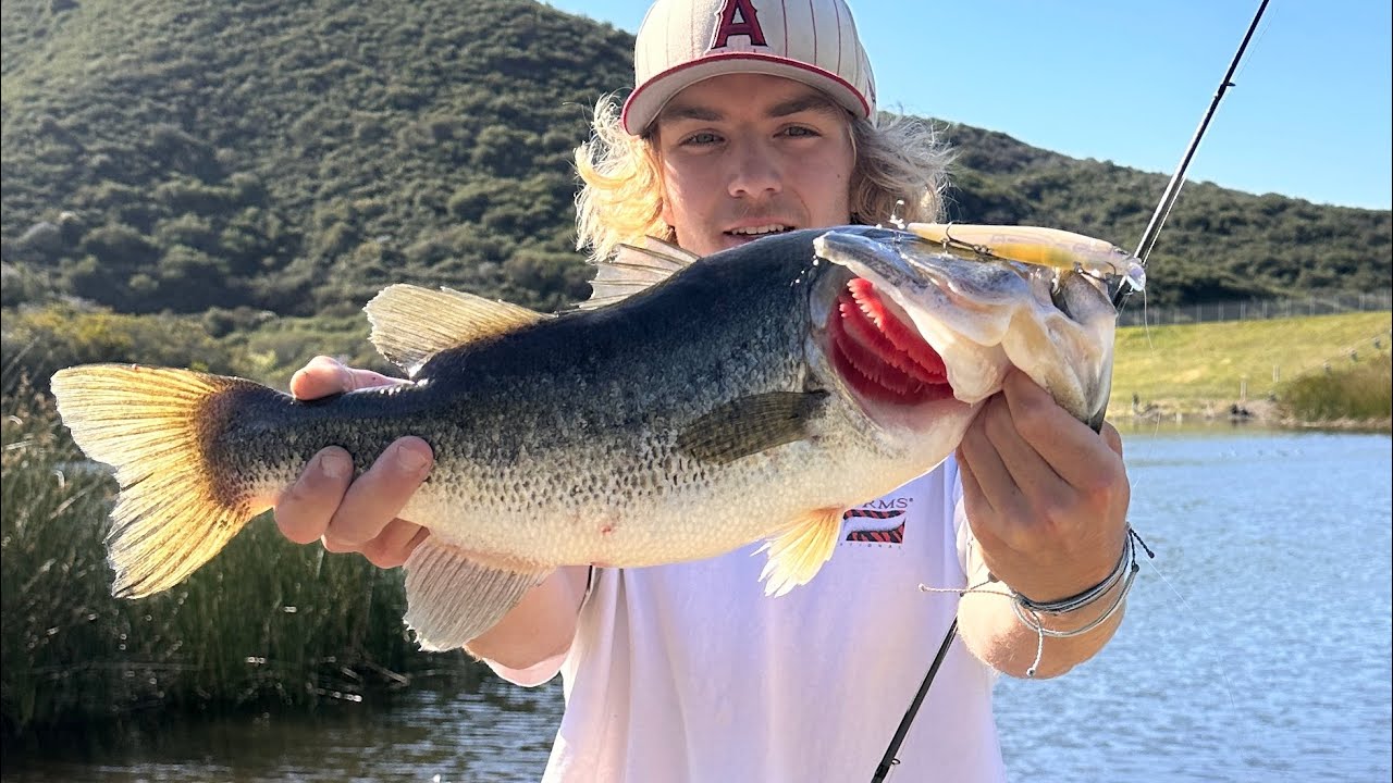 San Diego Bass Fishing l Jerkbaits, rats, and drop shot