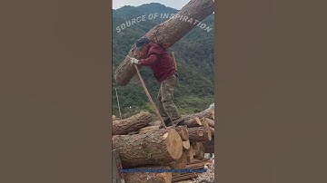 Manual Log Loading: Workers Skillfully Load Logs onto Truck with Pure Strength!