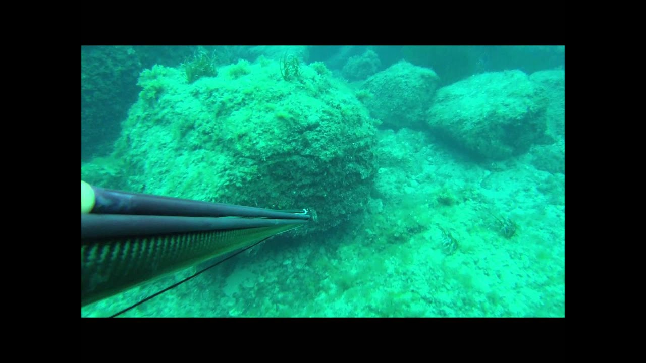 Pescasub: Weekend di pesca a Ponza