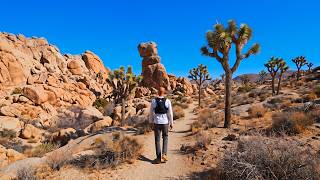Hiking Joshua Tree Maze, Window and the North View Trail Grand Loop | Full Hike POV