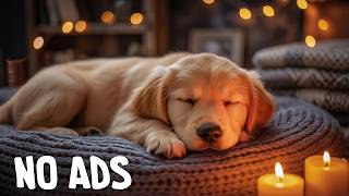 12 Hours Dog Calming Music 🐶 Dog Relaxation Music – Dog Soft Melodies For Emotional Ease screenshot 4