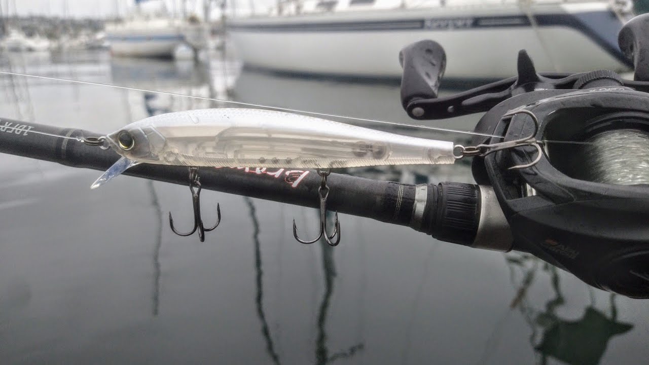 Throwing Jerkbaits In The Bay For Whatever Bites YouTube