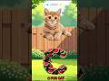 C For Cat 😺 ABCD rhyming words videos #learning #kids