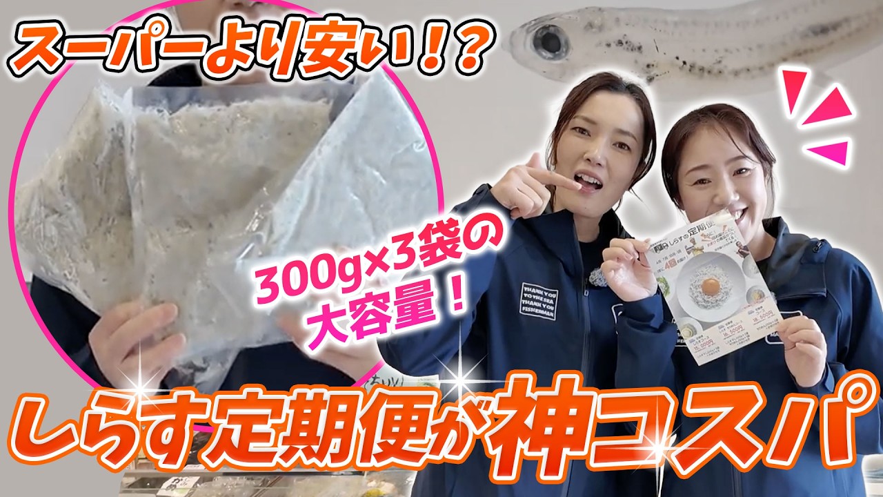 【衝撃】スーパーで買うと年45,000円...日間賀島しらす定期便なら15,000円!?毎回豪華おまけ付きの秘密を島主婦が暴露