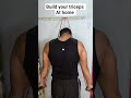 build your triceps at home #triceps #shortsfeed #shortsfitness #shorts #ytshorts #shortvideo #gym