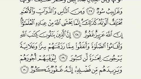 سورة فاطر مكتوبة fatir  بصوت الشيخ ماهر المعيقلي