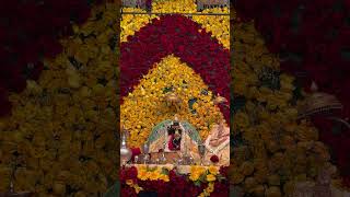 Shree Radha Ramanji #krishna #iskcon #radhakrishna #love #shorts #shortvideo #virdavan #radhe