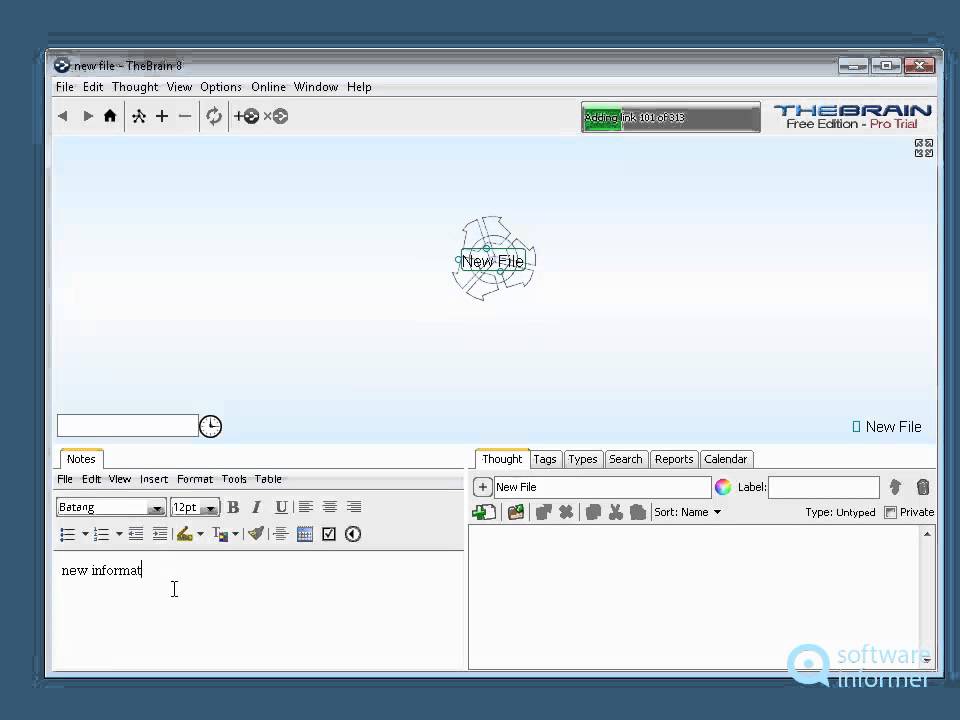Working with TheBrain
