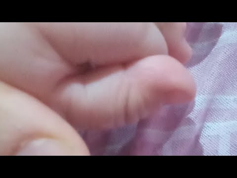 مساء الخير صحا فطوركم 🌹