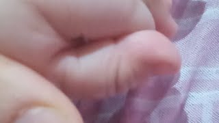 مساء الخير صحا فطوركم 🌹