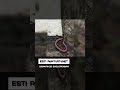 Esti rémtörténet. Gigantikus skolopendra