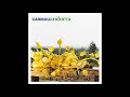 CARIBOU - Irene