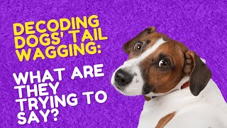 Meanings of Dogs' Tail Wagging: Unraveling Canine Communication #communication #dogs #pets by Dogs in Facts 145 views 10 months ago 4 minutes, 36 seconds