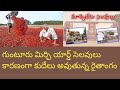 Farmers are facing trouble to sell red chillies due to Guntur mirchi yard summer holidays