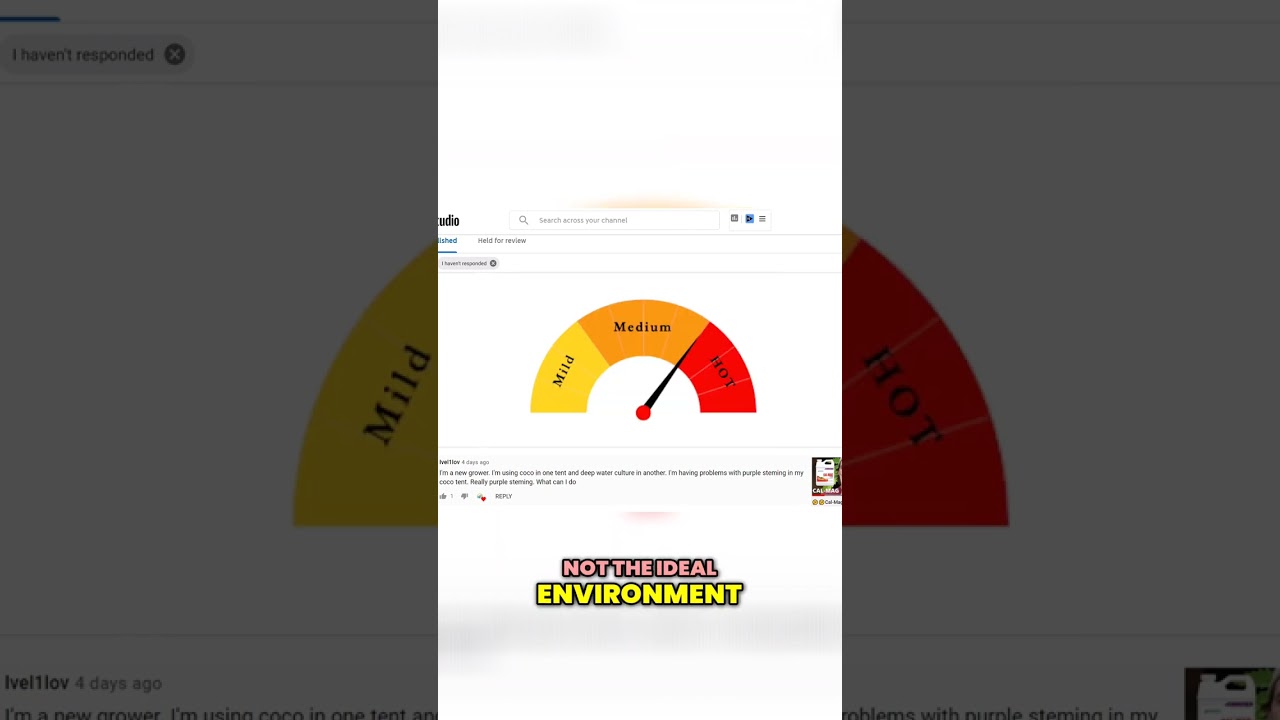 A Checklist to Identify Problems in Your Grow Room!