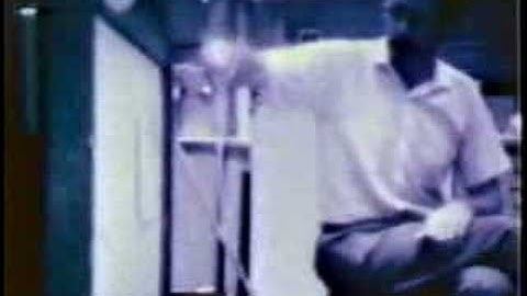 Visual Cortex Cell Recordings