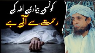 Konsi Bimari Allah Ki Rahmat Se Aati Hai Mufti Tariq Masood