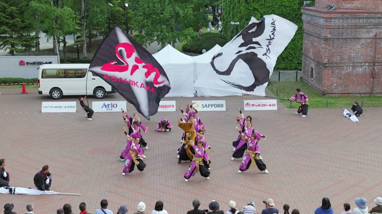 ⚠︎取りに来て頂ける方のみ⚠︎象さん 祭り スリランカ？ 大きい屏風 Sawara Grand Festival Autumn Festival 2024 [Do you have them