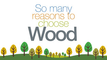 Hexion Wood Infographic Animation