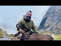 Fiordland reds and chamois.