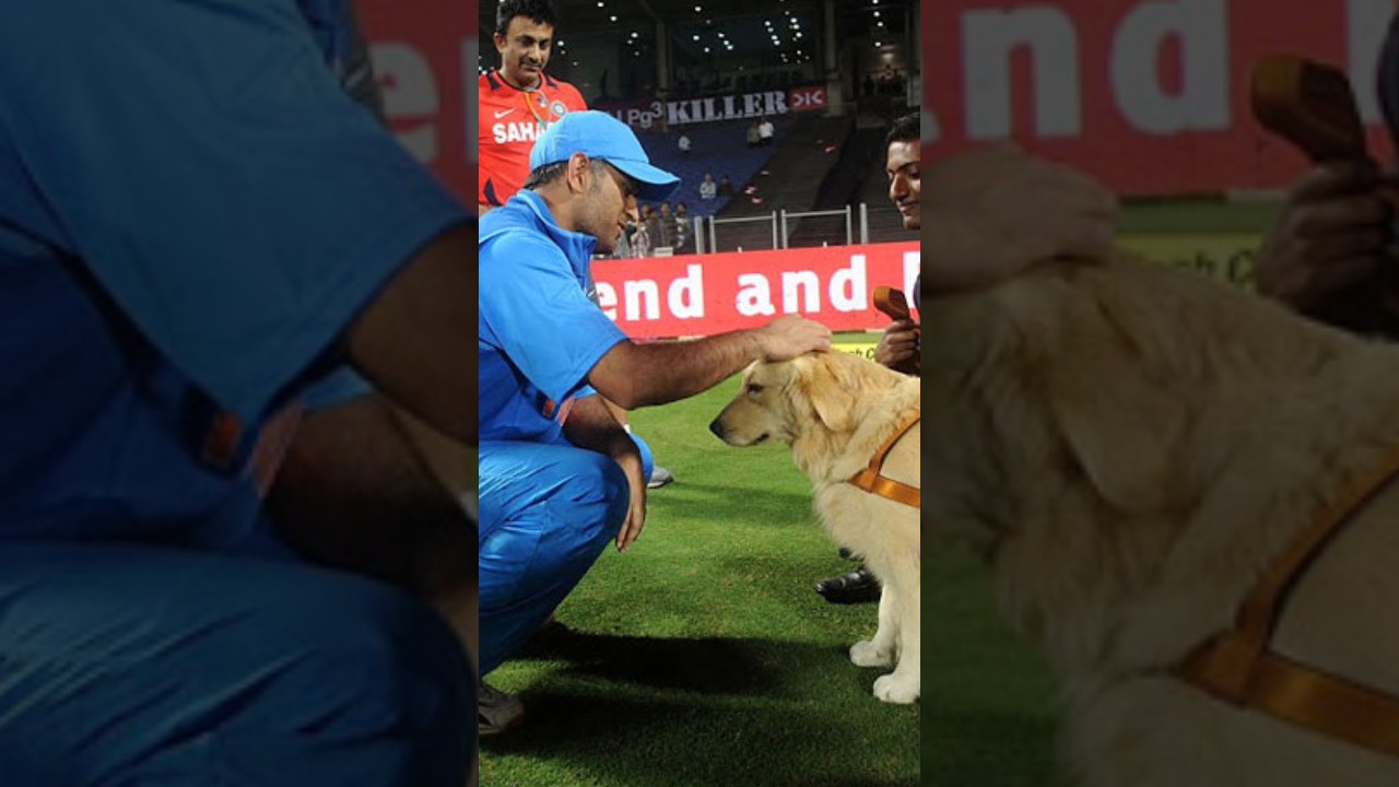 MS Dhoni loves Animals ❤️