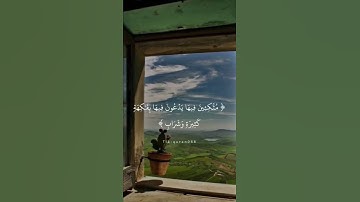 ﴿هذا ذكر وإن للمتقين لحسن مآب﴾ [ص: ٤٩]تلاوة رائعة🌸