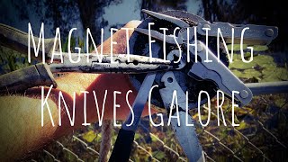 Magnet Fishing Finds A Ton Of Knives Thrown In The Water